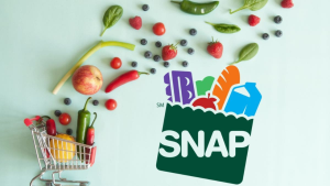 How SNAP Will Evolve by 2025: A Look at Its Impact on the Cost of Living!