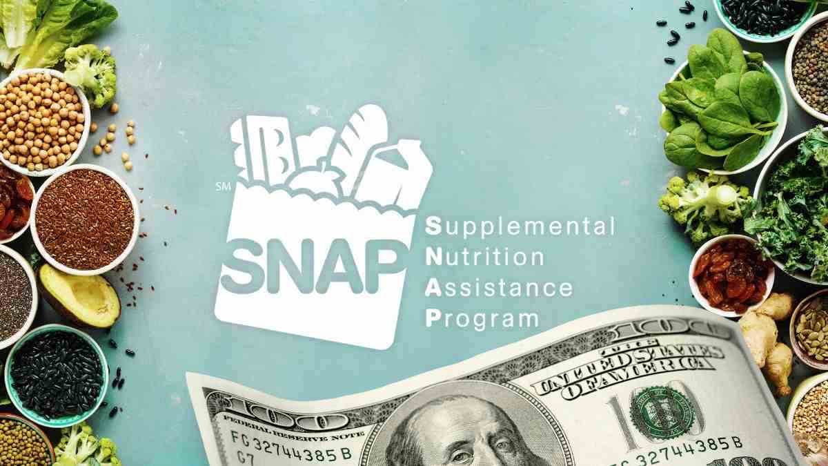 SNAP Payments of Up to $3,516 Coming Soon: Check Food Stamps Paydays for November