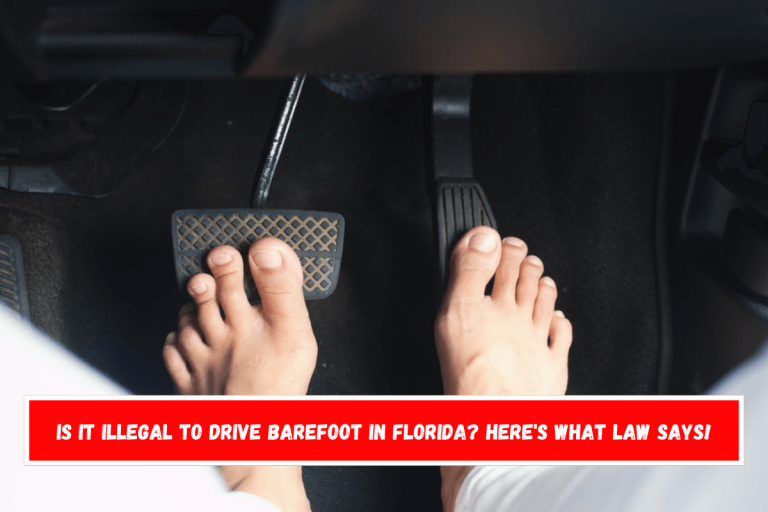 is it illegal to drive barefoot in Florida? Here’s What Law Says!