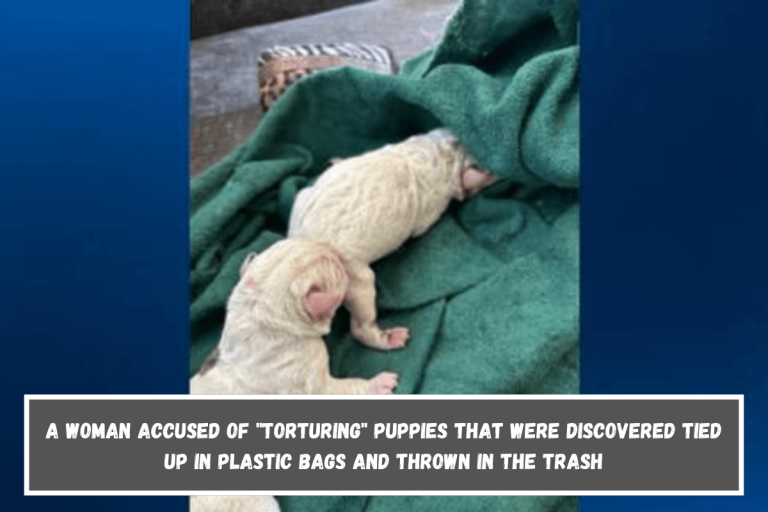 A woman accused of “torturing” puppies that were discovered tied up in plastic bags and thrown in the trash