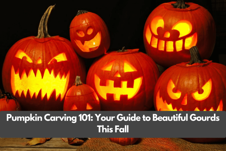 Pumpkin Carving 101: Your Guide to Beautiful Gourds This Fall