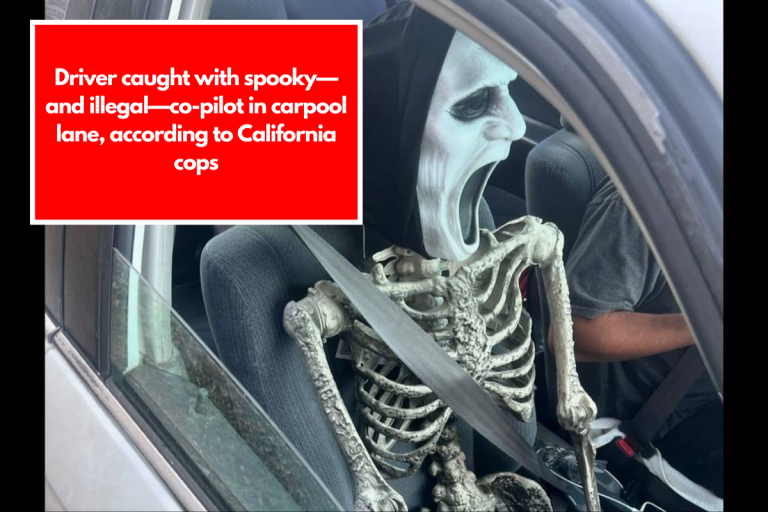 Driver caught with spooky—and illegal—co-pilot in carpool lane, according to California cops