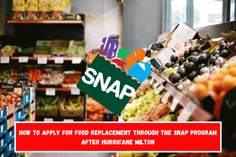 How to apply for food replacement through the SNAP program after Hurricane Milton