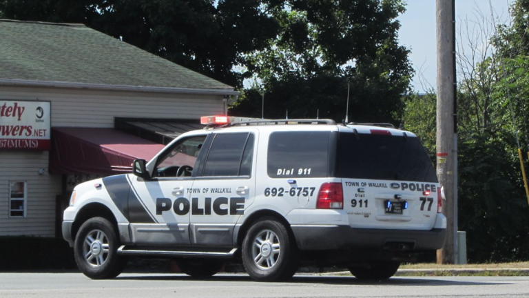 Wallkill Police Rescue Two Young Children Found Walking Alone at Night Along Route 17M