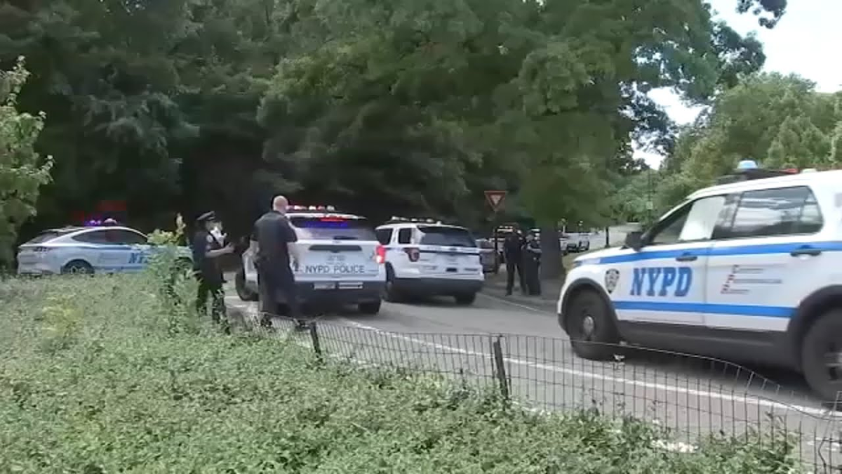 Police Identify Person of Interest in Attempted Rape of Woman in Central Park