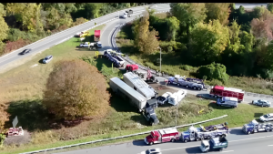 Breaking: 6 Cows Escape After Tractor-Trailer Crash in Hudson Valley!