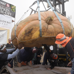 Minnesota Man Triumphs with Massive 2,471-Pound Pumpkin at National Championship