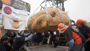 Minnesota Man Triumphs with Massive 2,471-Pound Pumpkin at National Championship