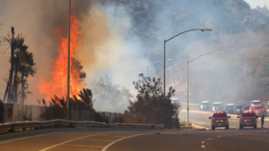 Fire Crews Battle Brushfire in Montrose on College Hill Road