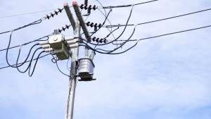 New Jersey Electrician Drives Through Downed Power Line, Escapes Injury