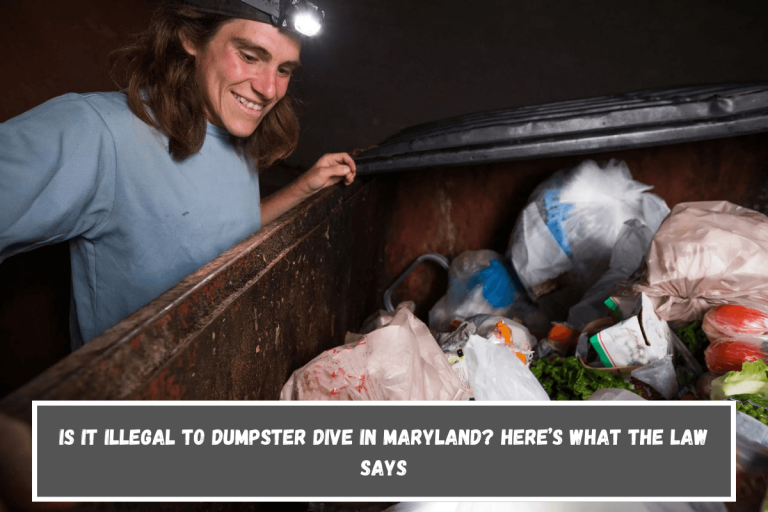 Is It Illegal to Dumpster Dive in Maryland? Here’s What the Law Says