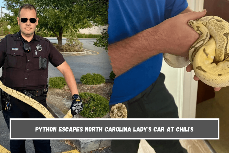 Python escapes North Carolina lady’s car at Chili’s