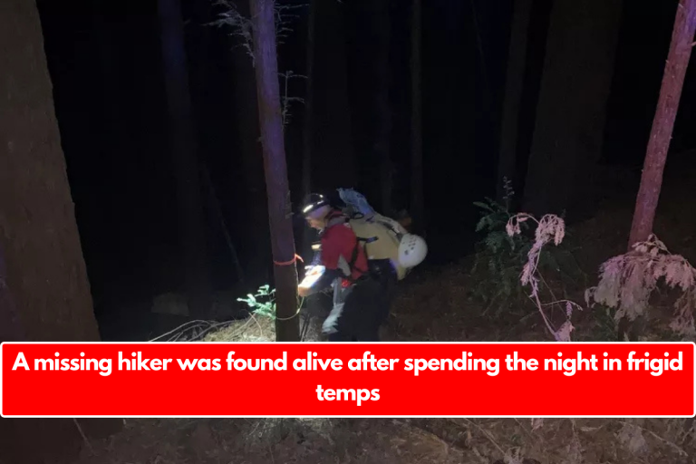 A missing hiker was found alive after spending the night in frigid temps