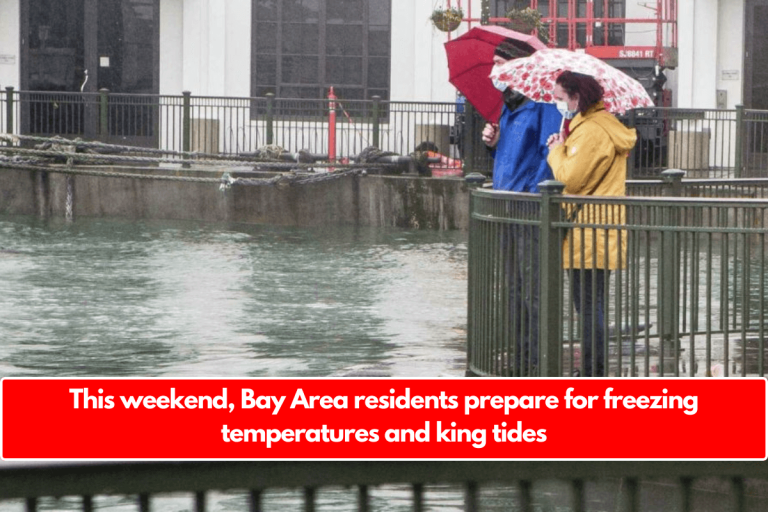 This weekend, Bay Area residents prepare for freezing temperatures and king tides