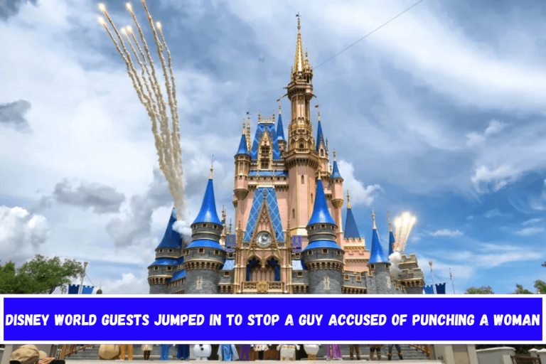 Disney World guests jumped in to stop a guy accused of punching a woman