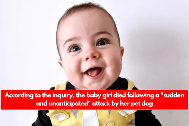 According to the inquiry, the baby girl died following a “sudden and unanticipated” attack by her pet dog