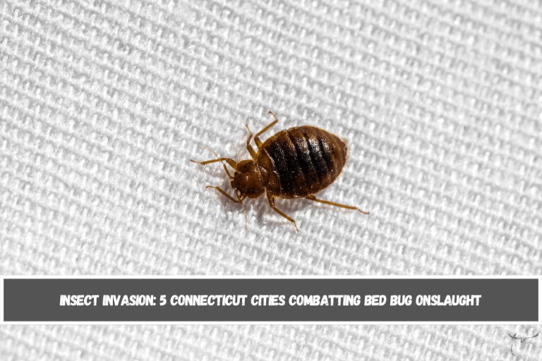 Insect Invasion: 5 Connecticut Cities Combatting Bed Bug Onslaught