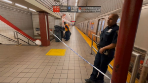 Woman Slashed and Shoved Onto Subway Tracks in Harlem During Violent Altercation